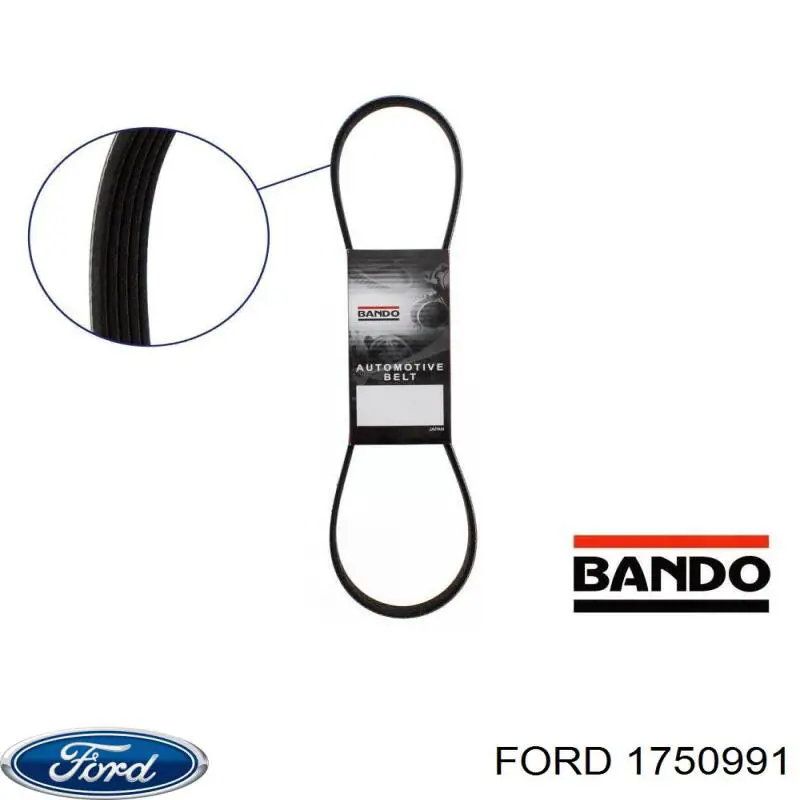 Correa de transmisión trapezoidal Ford 1750991 precio, desde 38,36 EUR