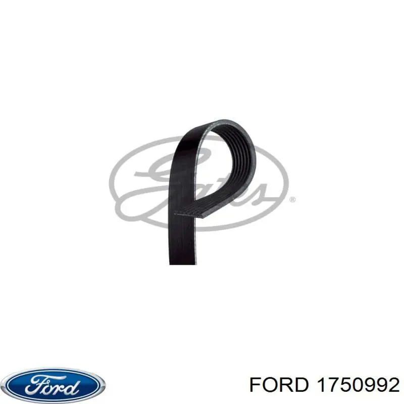 1750992 Ford correa trapezoidal