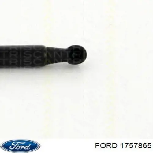 Amortiguador de maletero FORD 1757865