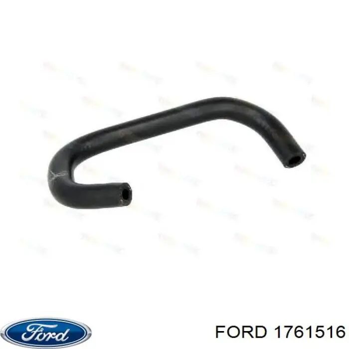 1761516 Ford Decantador de aceite