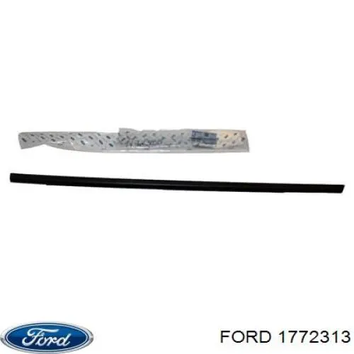 Lameluna de puerta trasera derecha exterior para Ford Focus (CB8)