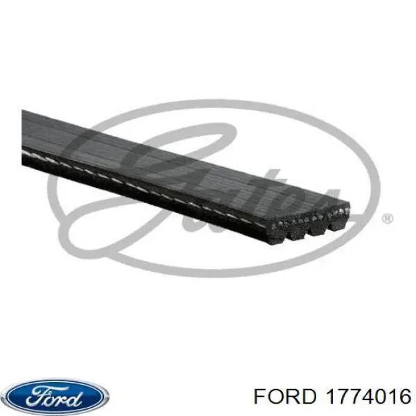 FD1774016 Market (OEM)