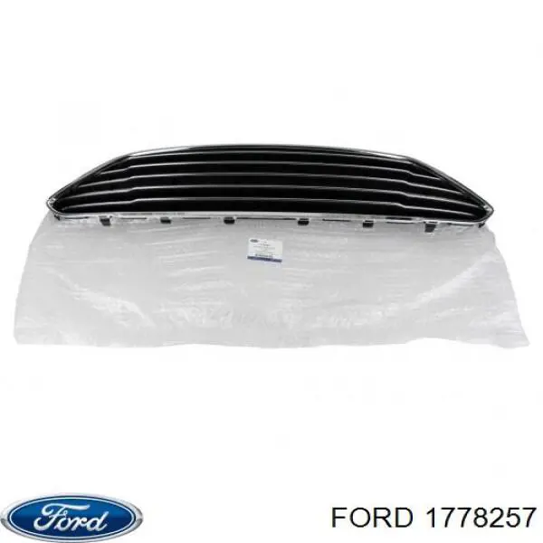 Rejilla, parachoques delantero para Ford Fiesta (CB1)