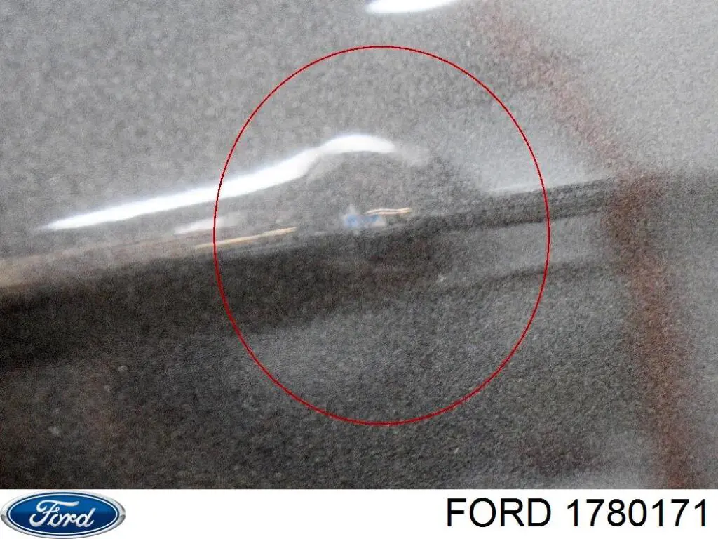 1835850 Ford puerta trasera derecha