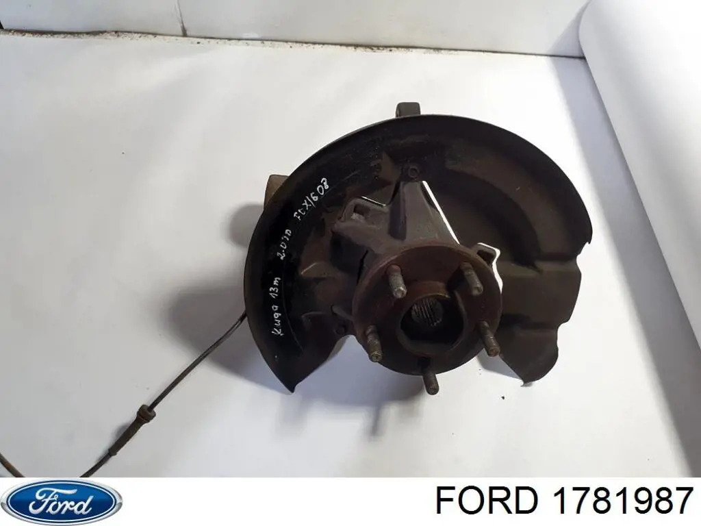 Mangueta delantera izquierda Ford 1781987 precio, desde 87,76 EUR