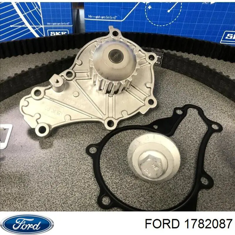Tensor de la correa de distribución Ford 1782087