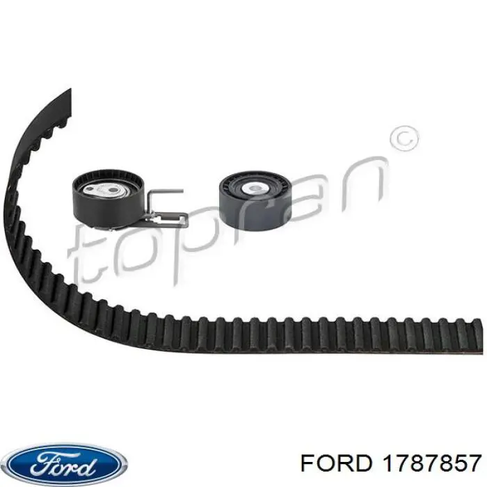 Juego de correas dentadas Ford 1787857 precio, desde 77,86 EUR