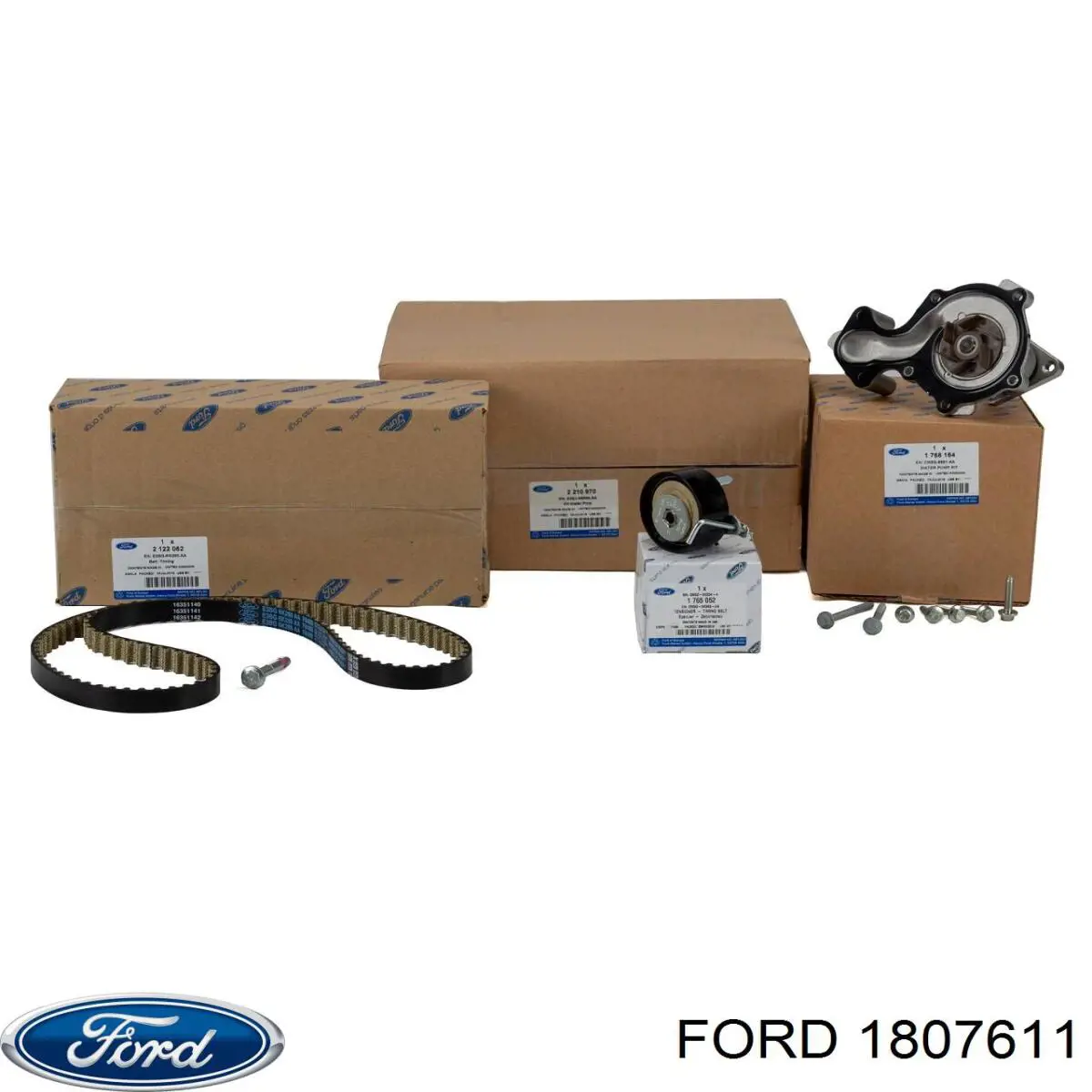 Correa de distribución Ford 1807611