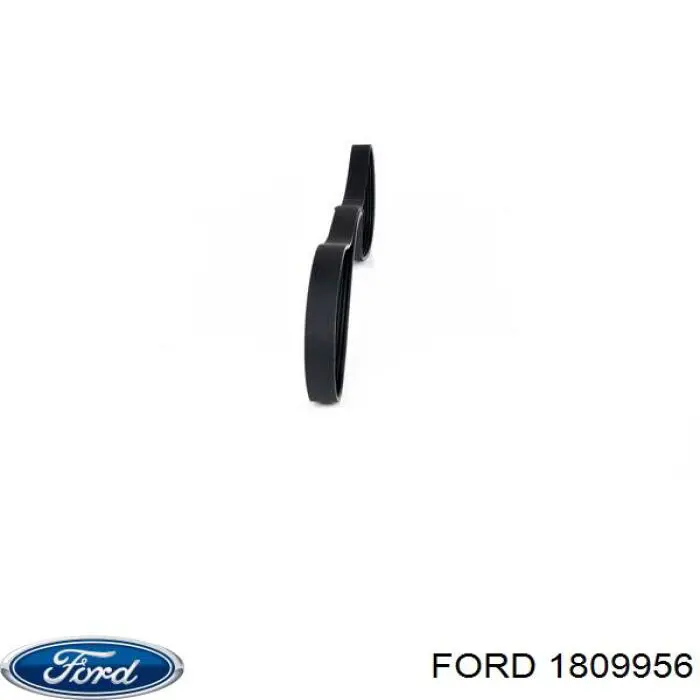 1809956 Ford Correa poly v