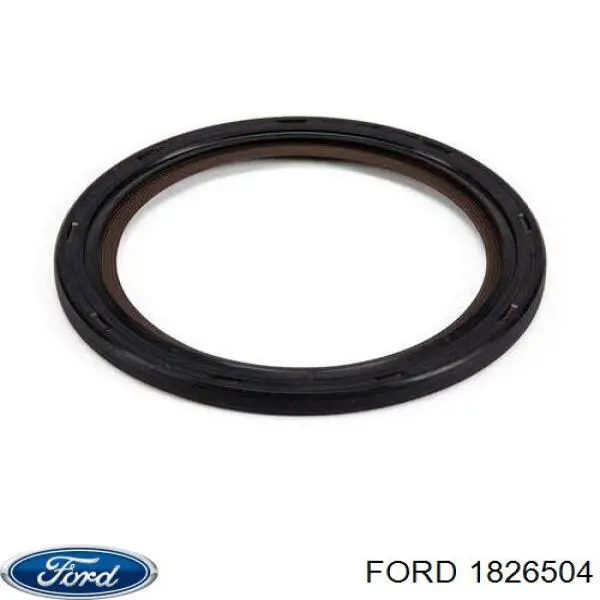 1826504 Ford anillo retén, cigüeñal