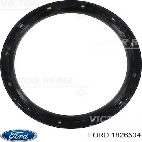 Retén del cigüeñal Ford 1826504 precio, desde 20,87 EUR