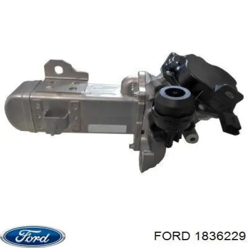 1836229 Ford egr