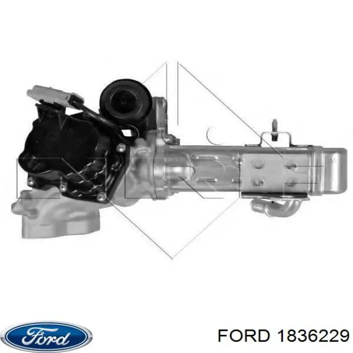Comprar 1836229 Ford Válvula EGR