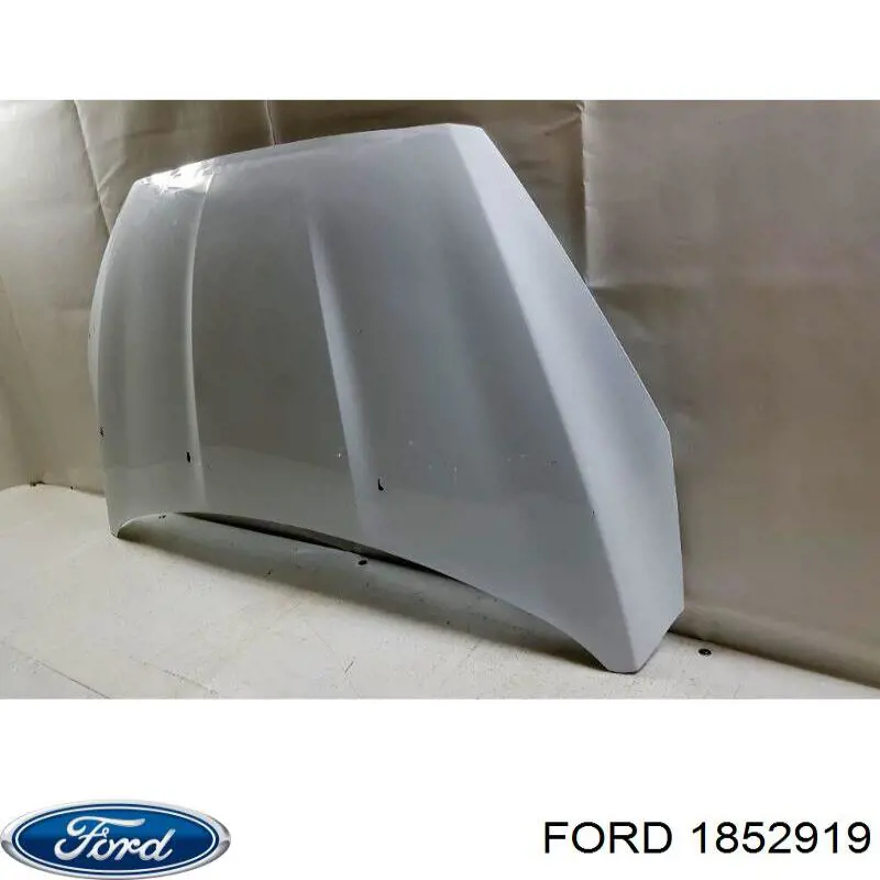 1852919 Ford capó