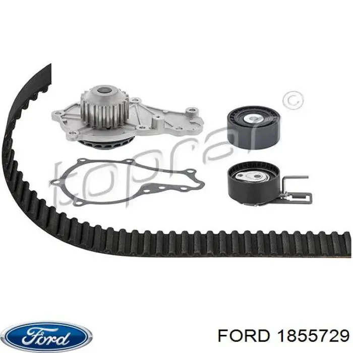 1855729 Ford