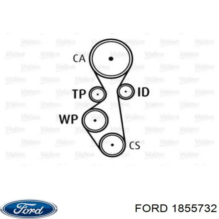 1855732 Ford Kit correa de distribución