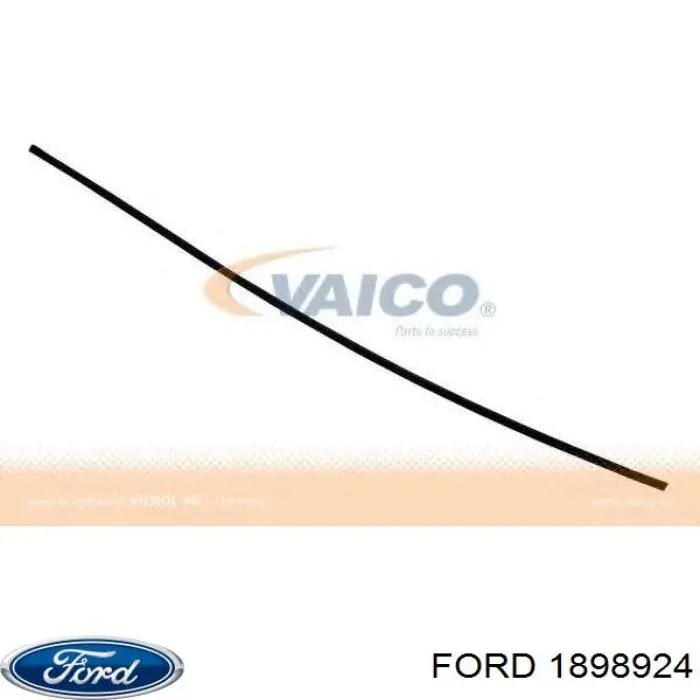 BK21V03100AG Ford