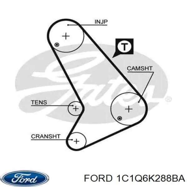 1C1Q6K288BA Ford correa distribucion