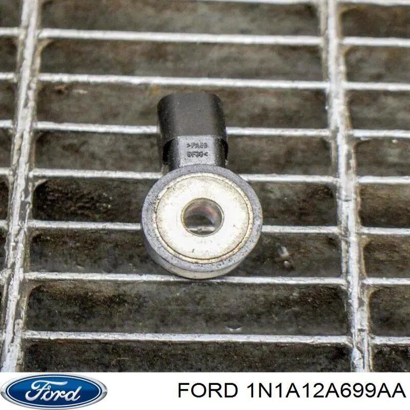 Sensor de detonaciones Jaguar X-type CF1