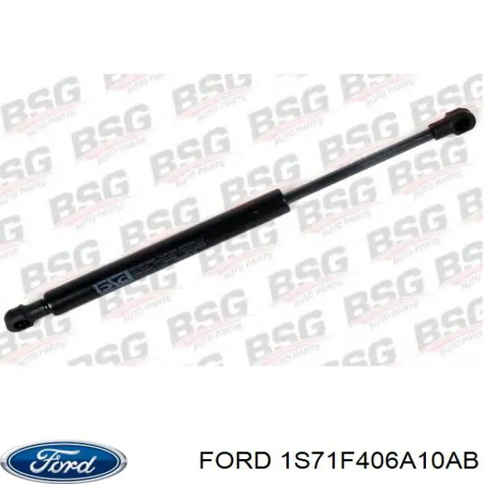 Comprar 1S71F406A10AB Ford Amortiguador de puerta trasera