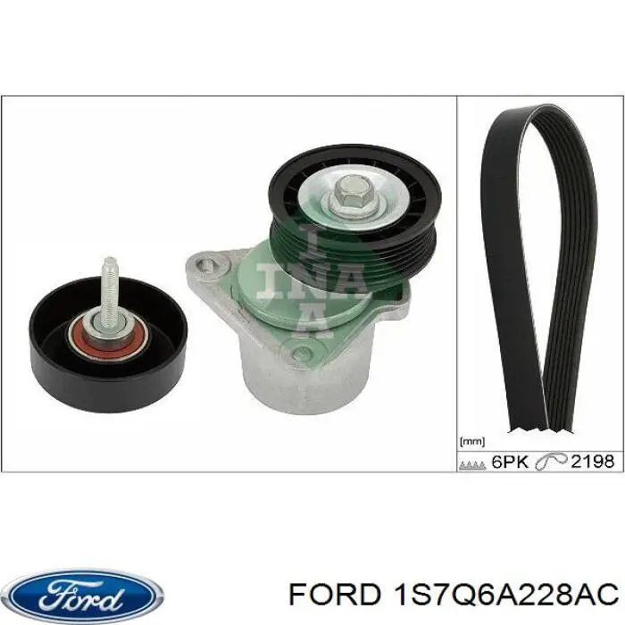 Tensor de la correa trapecial Ford 1S7Q6A228AC precio, desde 31,39 EUR