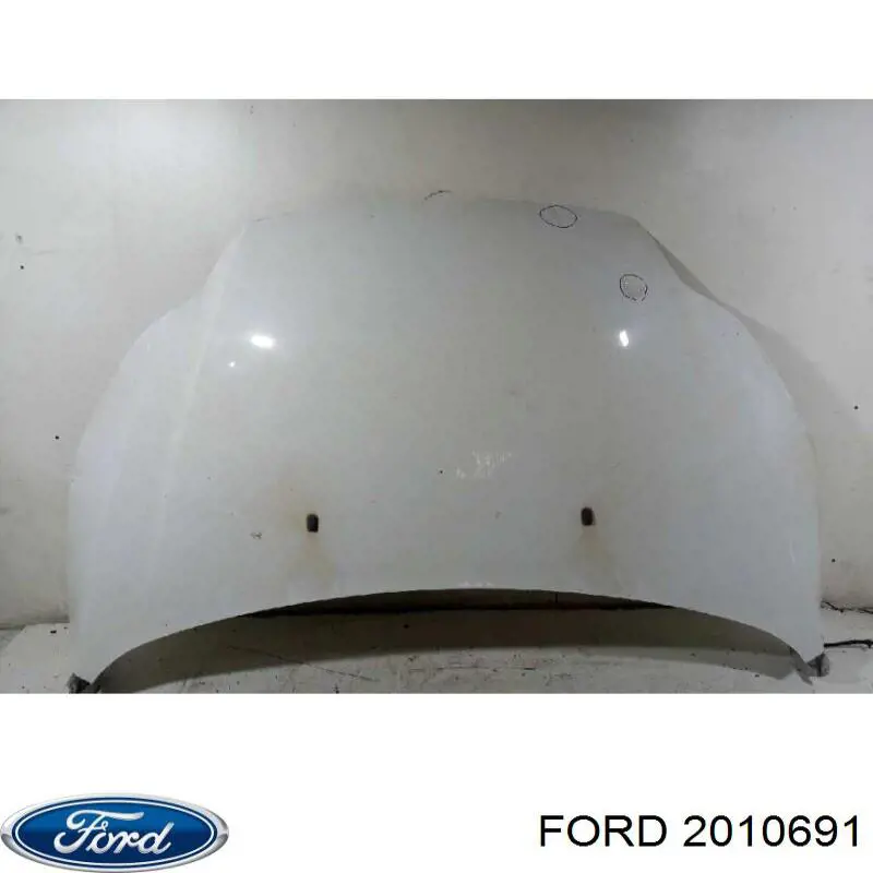 2010691 Ford Botella limpiaparabrisas