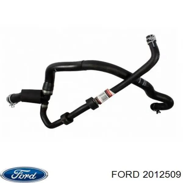 1847340 Ford tubería de radiador, tuberia flexible calefacción, inferior