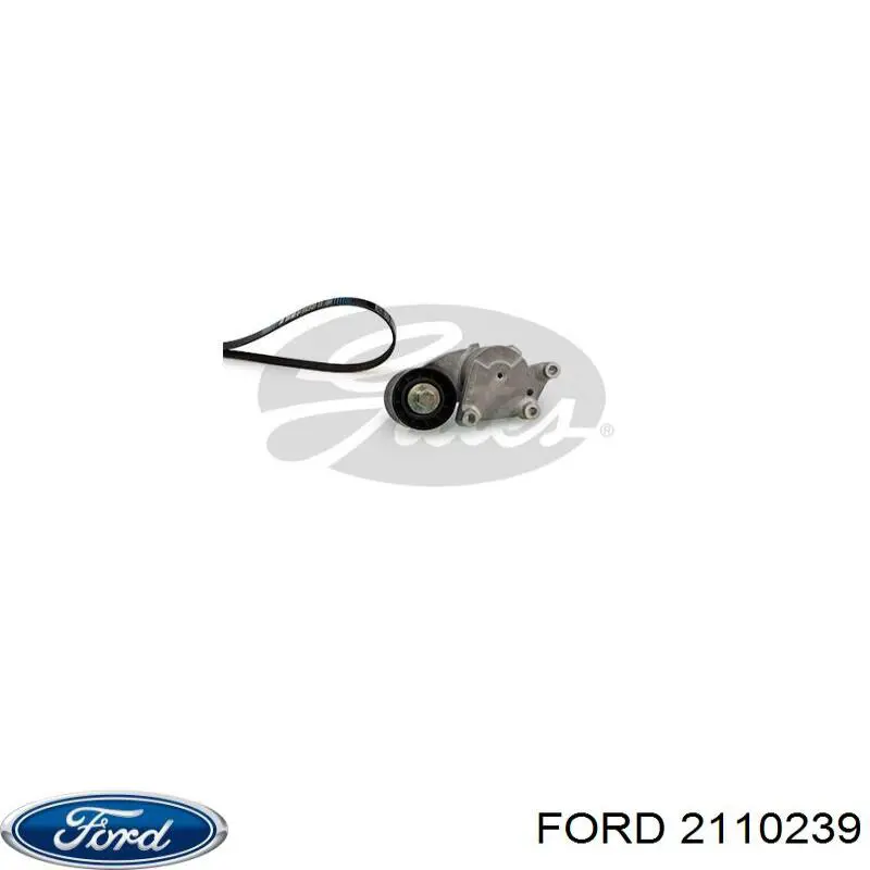 Correa de transmisión, juego Ford 2110239 precio, desde 50,68 EUR
