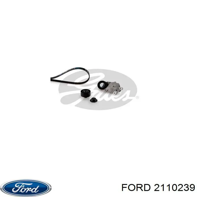 Comprar 2110239 Ford Correa de transmisión