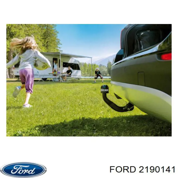 2190141 Ford Válvula de admisión