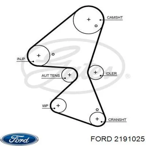 Comprar 2191025 Ford Correa distribución