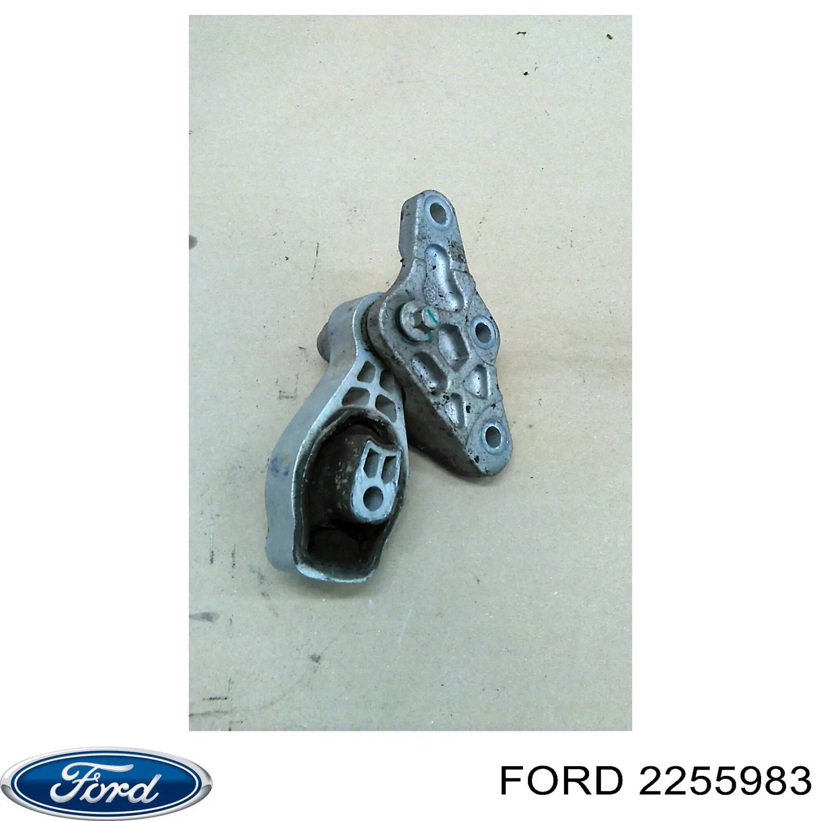 2255983 Ford Piloto trasero exterior derecho