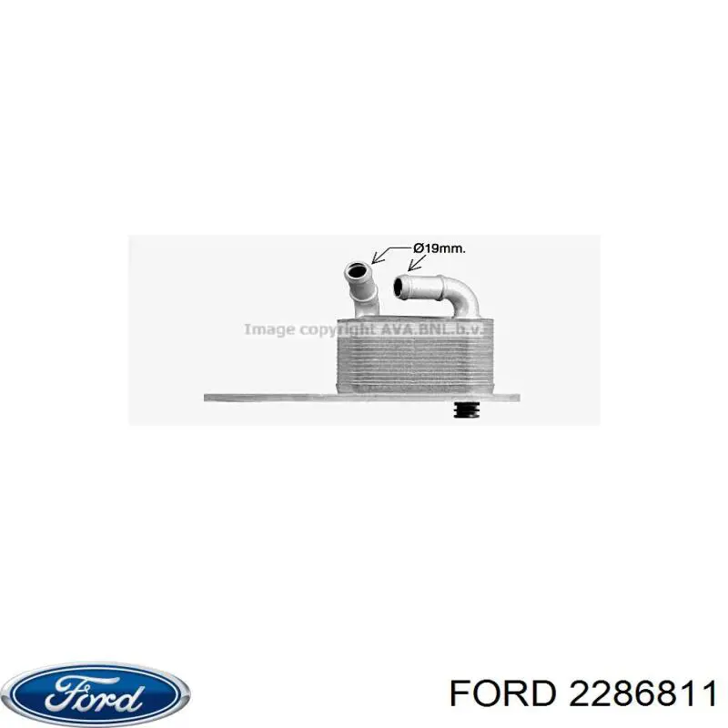 2286811 Ford radiador de aceite, bajo de filtro