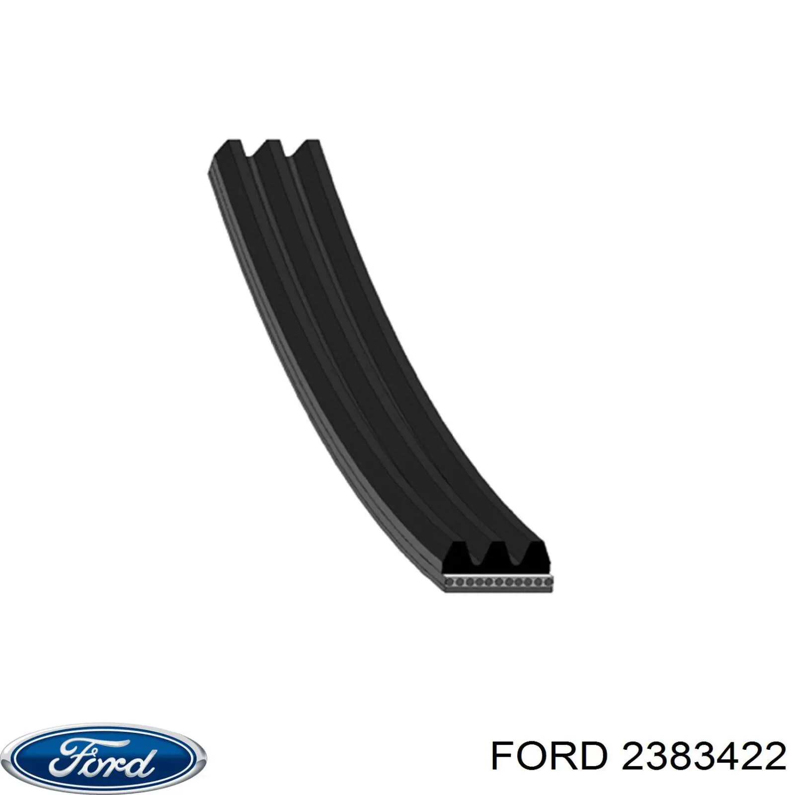2383422 Ford Correa poly v