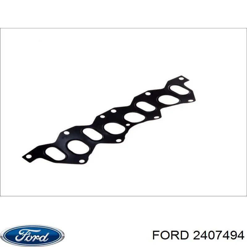 2407494 Ford Bomba de inyección