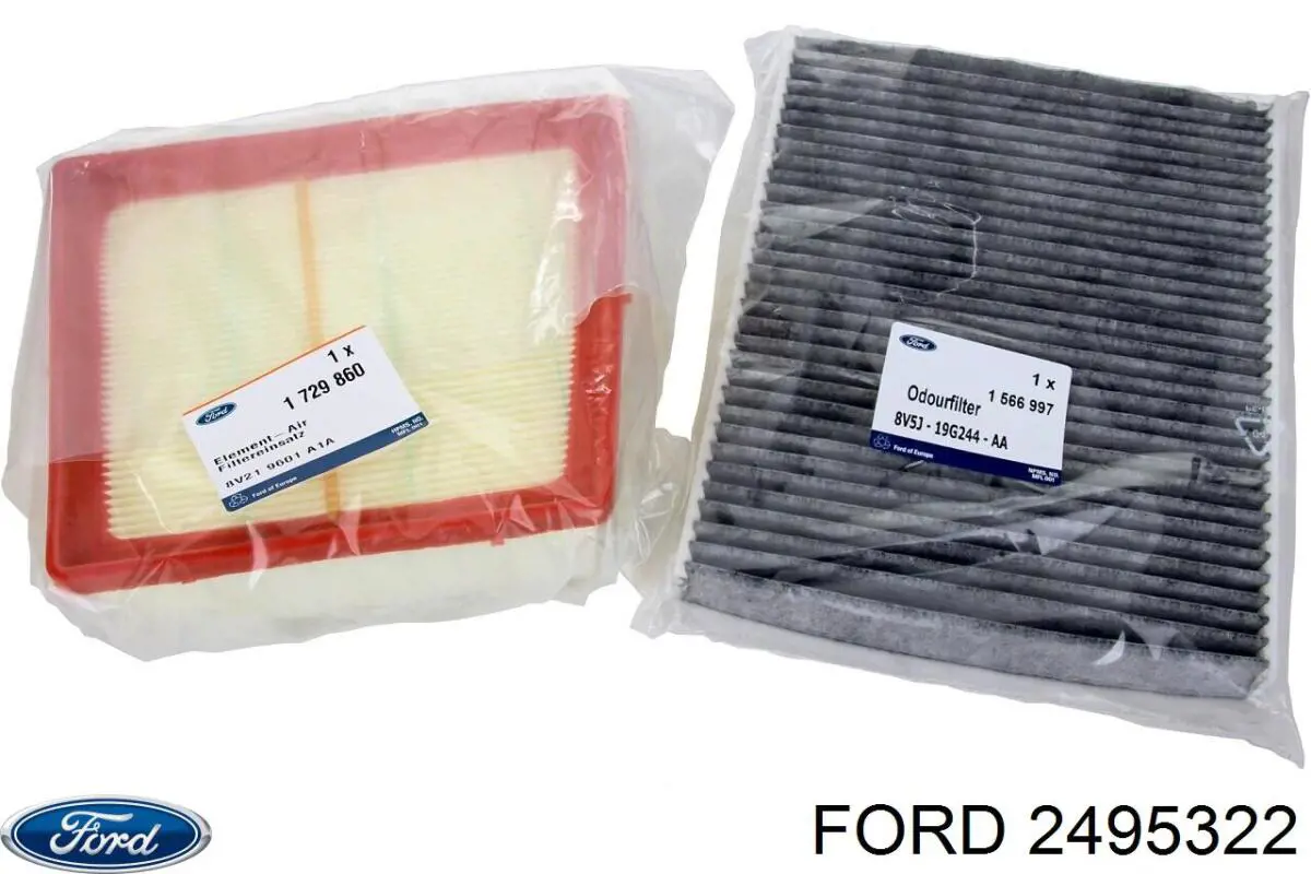 Filtro de habitáculo 2495322 Ford