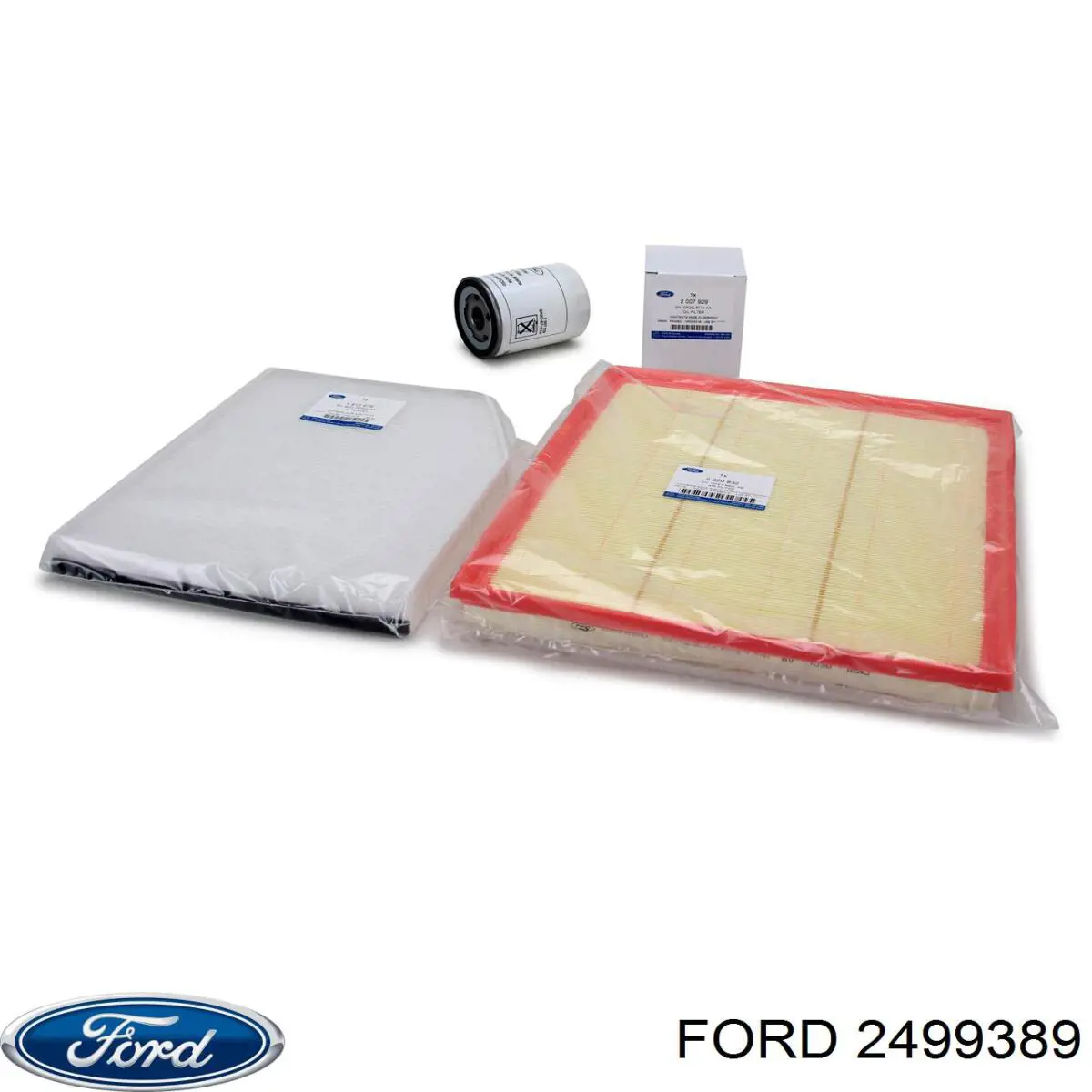 2499389 Ford Filtro de gasolina