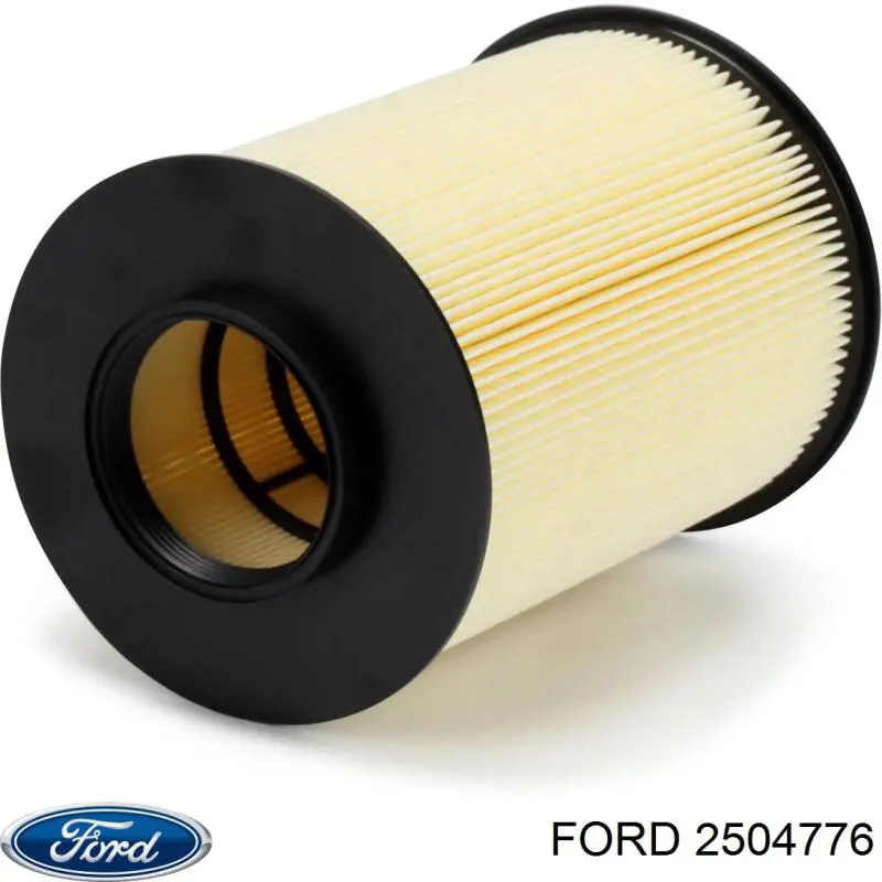 2504776 Ford Filtro antipolen