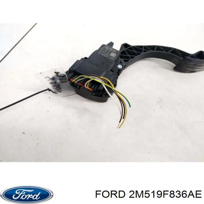 Potenciómetro pedal Ford 1343404