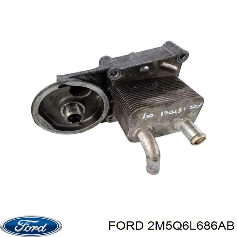 2M5Q6L686AB Ford 