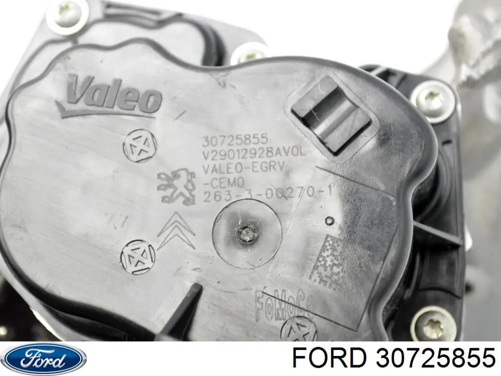  Ford 30725855 precio, desde 86,21 EUR