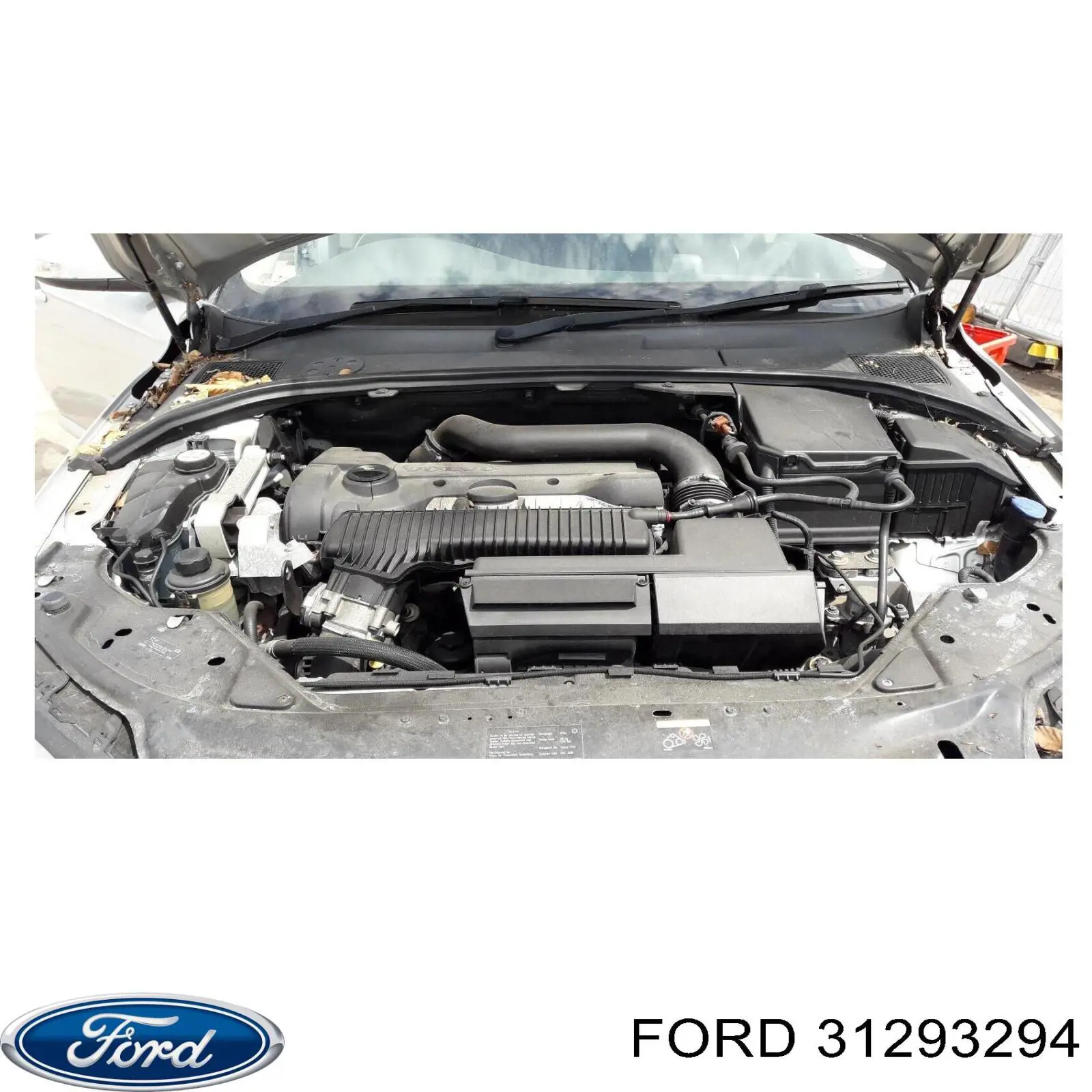 31293294 Ford