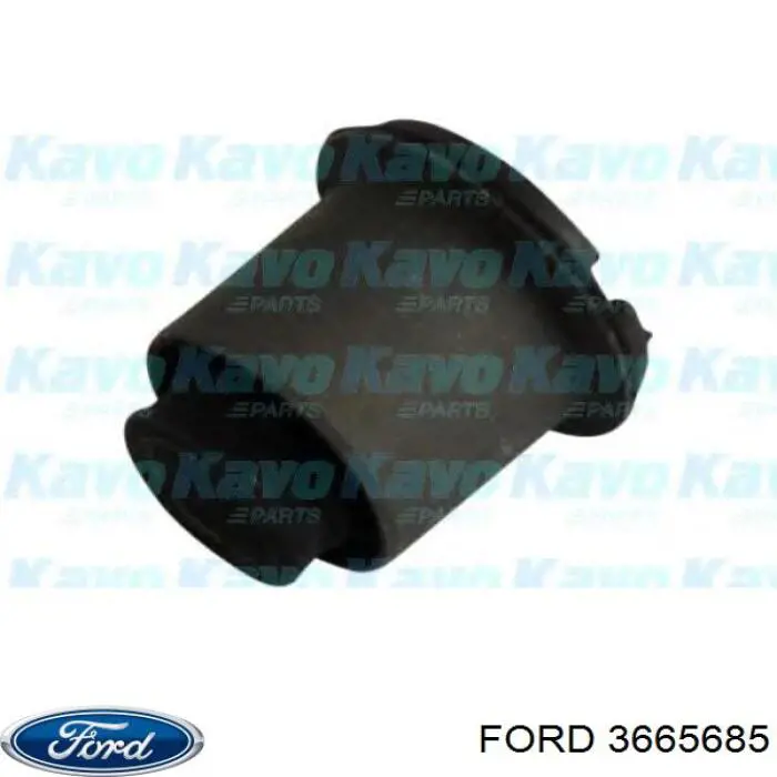 3665685 Ford silentblock de brazo de suspensión delantero superior