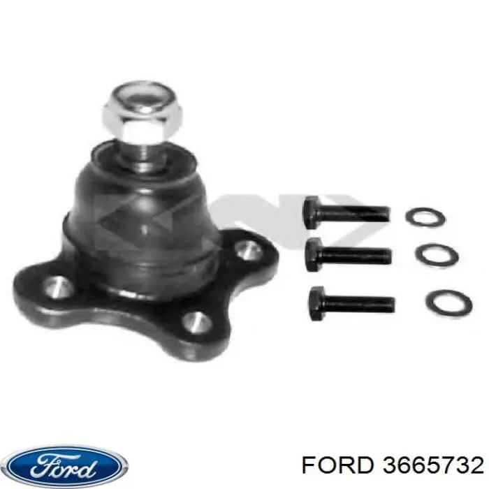 3665732 Ford rótula de suspensión