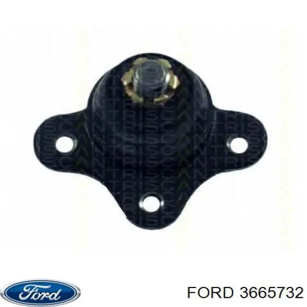 Rótula de suspensión superior Ford 3665732 precio, desde 14,72 EUR