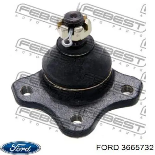Comprar 3665732 Ford Rótula de suspensión
