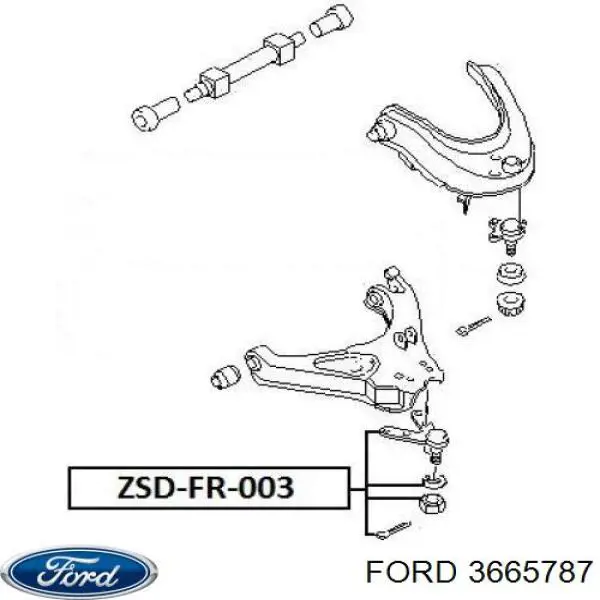 Rótula inferior de suspensión Ford 3665787