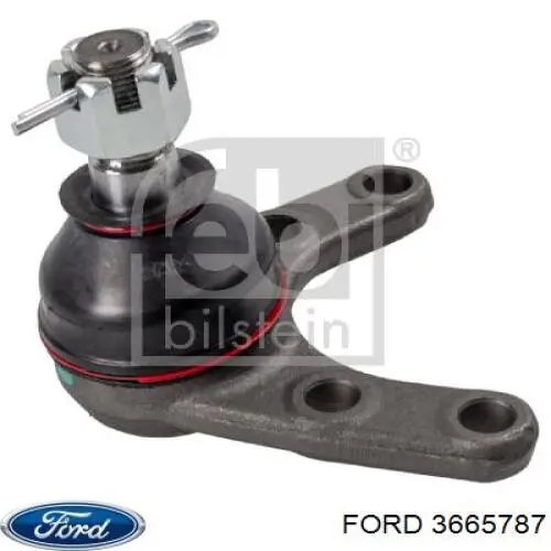 3665787 Ford rótula de suspensión inferior