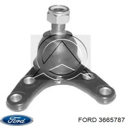 Rótula inferior de suspensión Ford 3665787 precio, desde 20,16 EUR