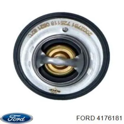 4176181 Ford termostato